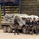 Illustration for article titled Terra Nova set pics